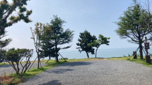 태안 캠핑드림 캠핑장