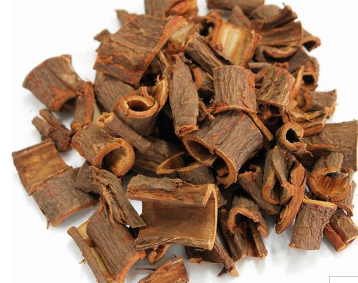 비염에 좋은 차