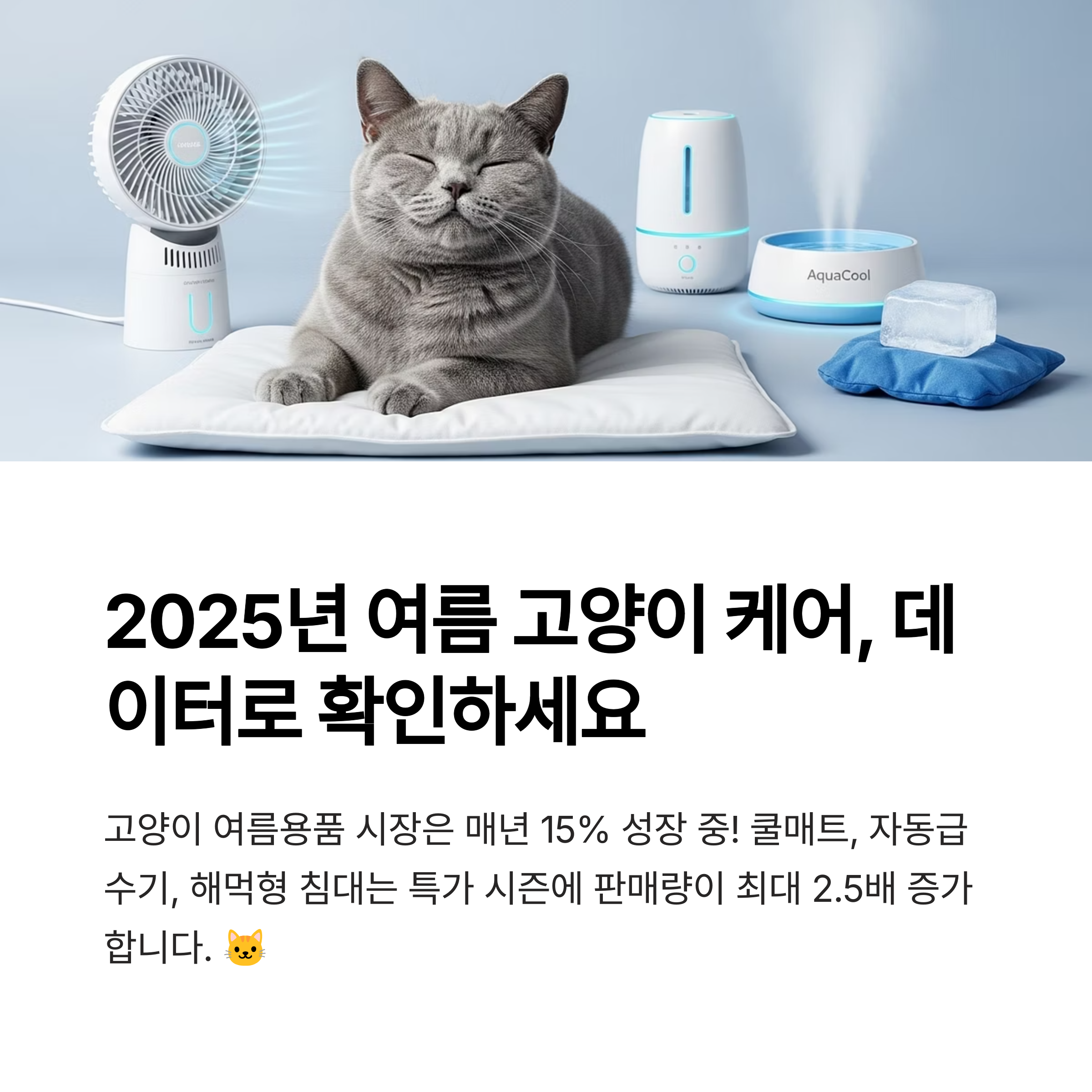 2025년 여름 고양이 케어, 데이터로 확인하세요