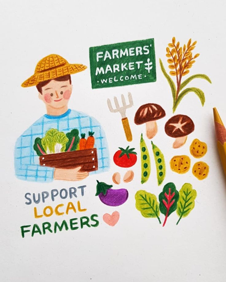 탈모 영양제 추천