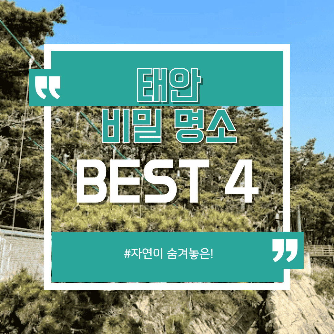 &quot;국내가 맞아?&quot; 자연이 숨겨놓은 태안의 비밀 명소 BEST 4