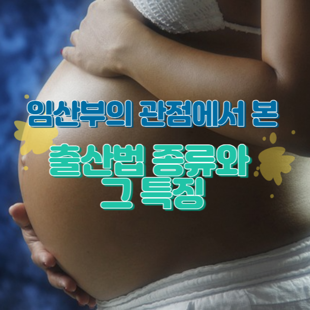 임산부의 관점에서 본 출산법 종류와 그 특징