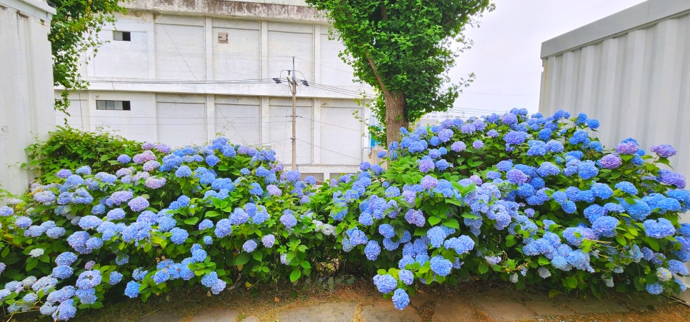 광주 소촌아트팩토리