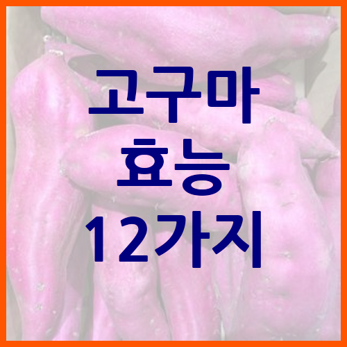 고구마-효능-12가지