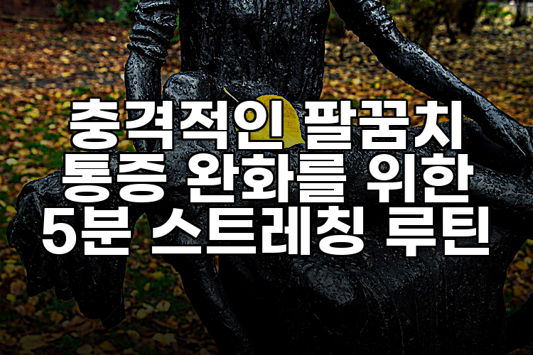 충격적인 팔꿈치 통증 완화를 위한 5분 스트레칭 루틴