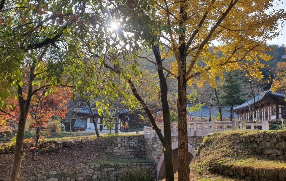 안동-봉정사-풍경