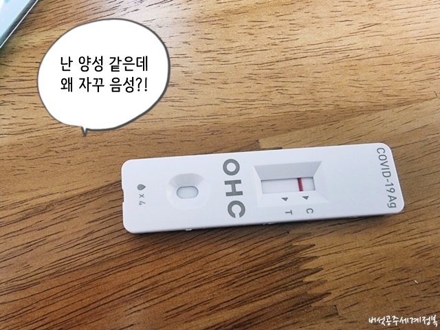 코로나 자가진단 키트 양성