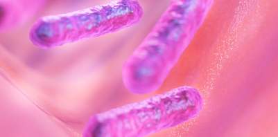 심해의 신비로운 생명체, 우리가 몰랐던 바닷속 희귀 동물