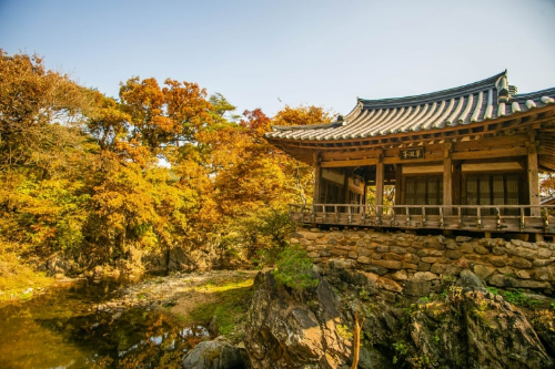 예천 초간정 사진