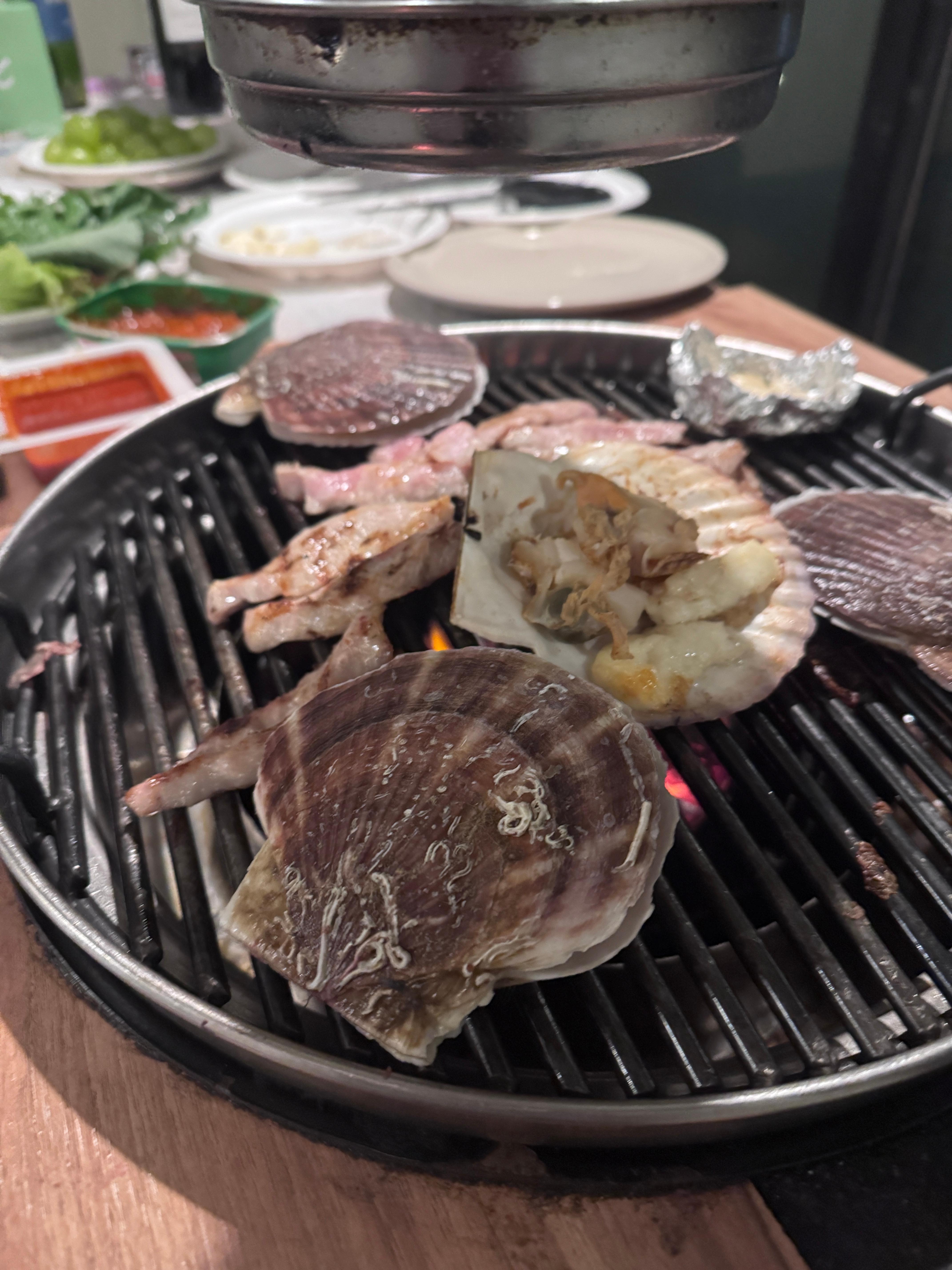 강화도 펜션 바베큐 돼지 항정살과 조개 구이, 숯불 위 고기와 가리비