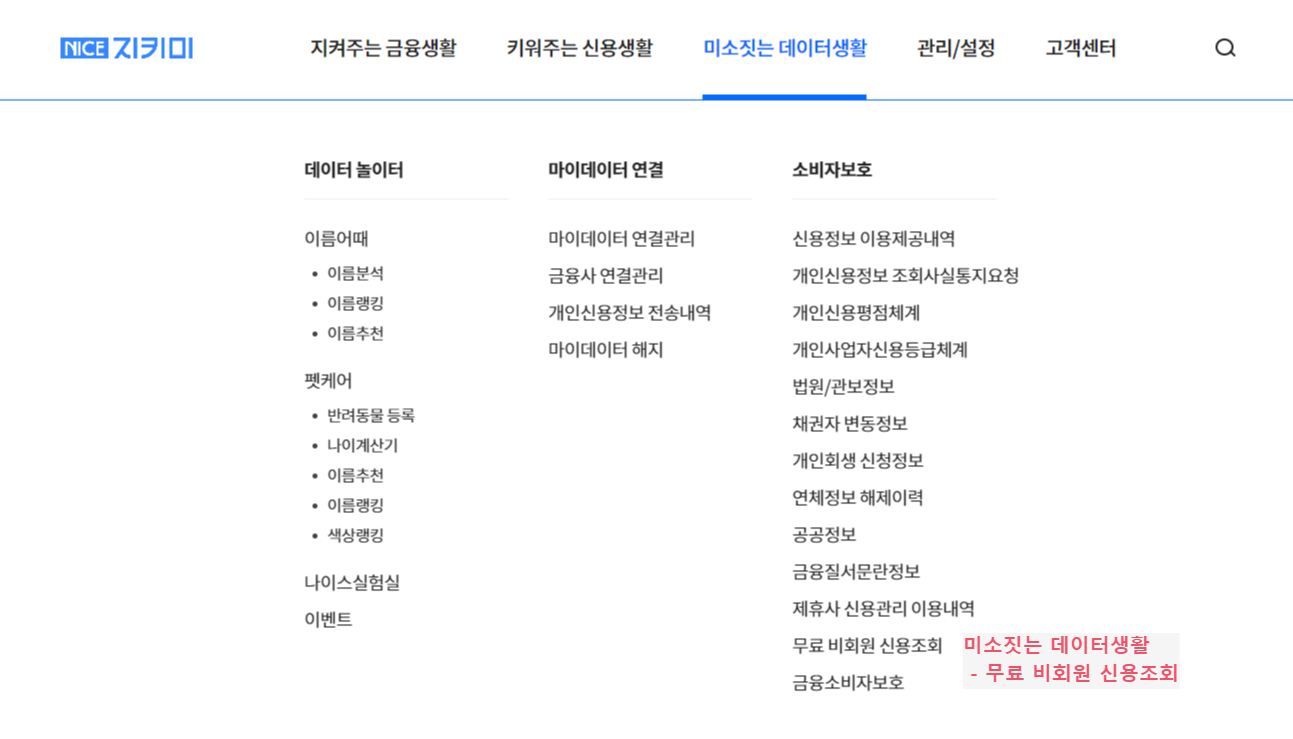 나이스지키미 사이트