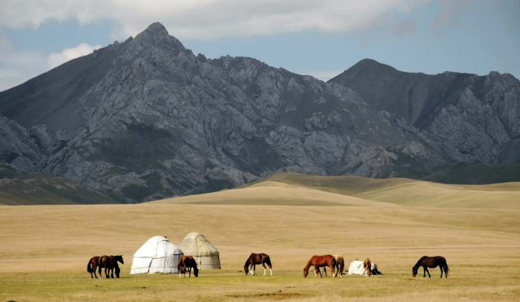 키르기스스탄 유목민과 방목 말의 이미지