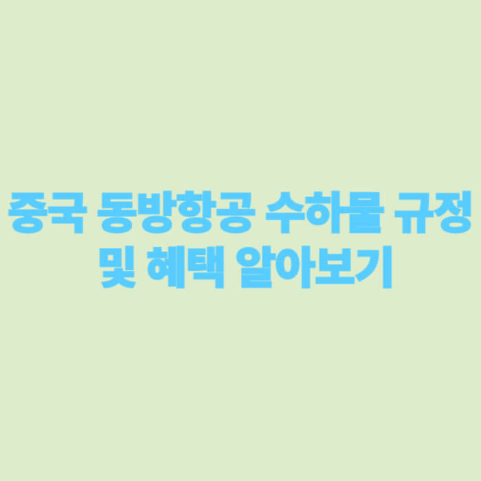 중국 동방항공 수하물 규정 및 혜택 알아보기