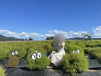 철원 가볼만한곳 베스트10 명소 소개_19