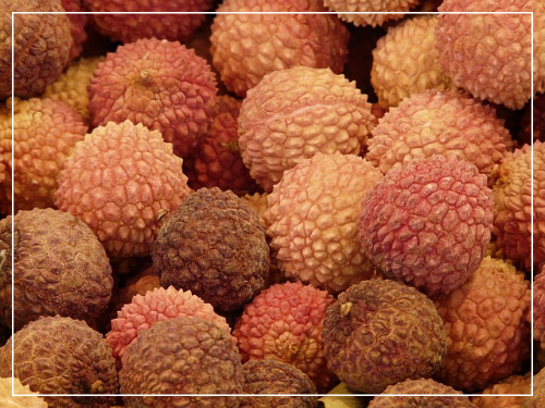 리치를 즐기는 똑똑한 방법