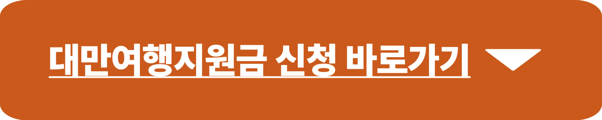 대만여행지원금 신청