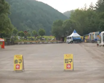 태백 해바라기 축제_28