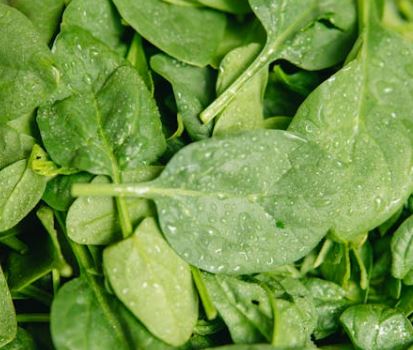 당뇨병에 좋은 음식 10가지