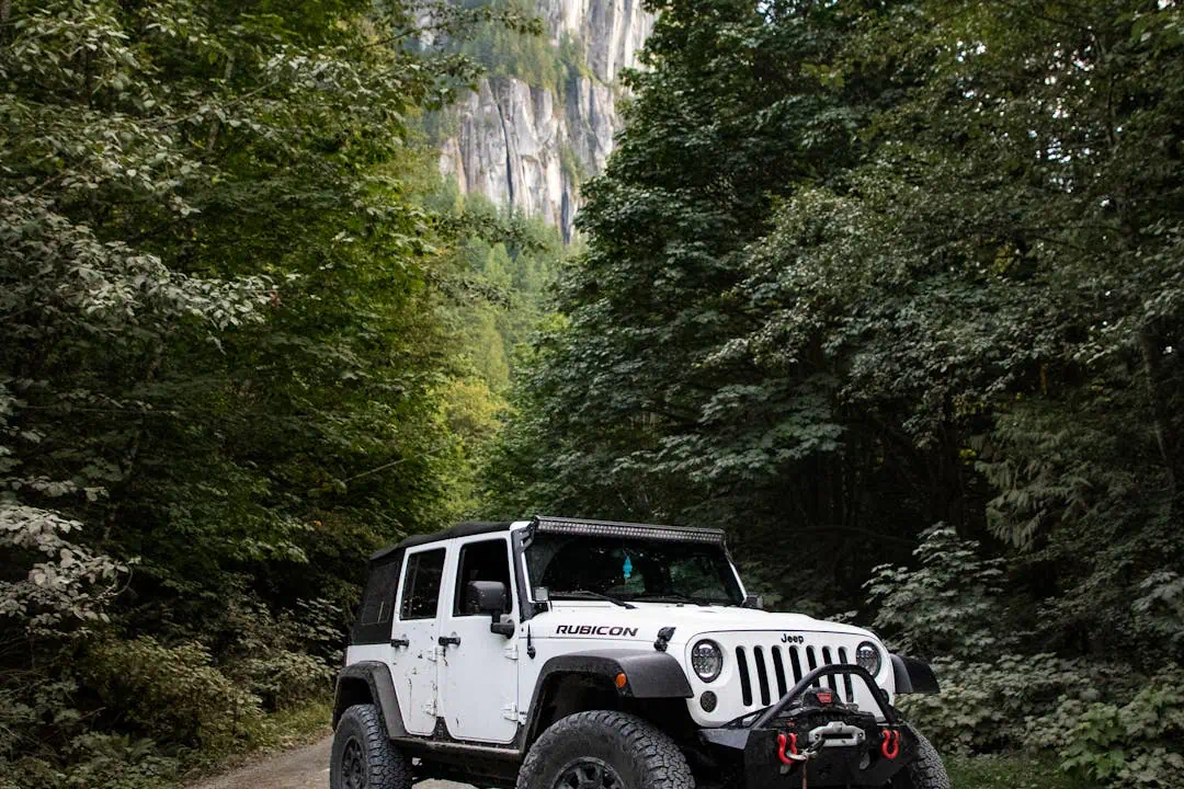 지프 자동차의 모습