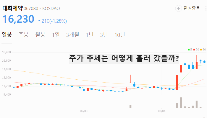 비만치료제 마운자로 관련주 대장주 테마주 TOP5