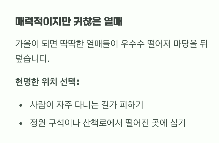 비결 4: 매력적이지만 귀찮은 그 열매