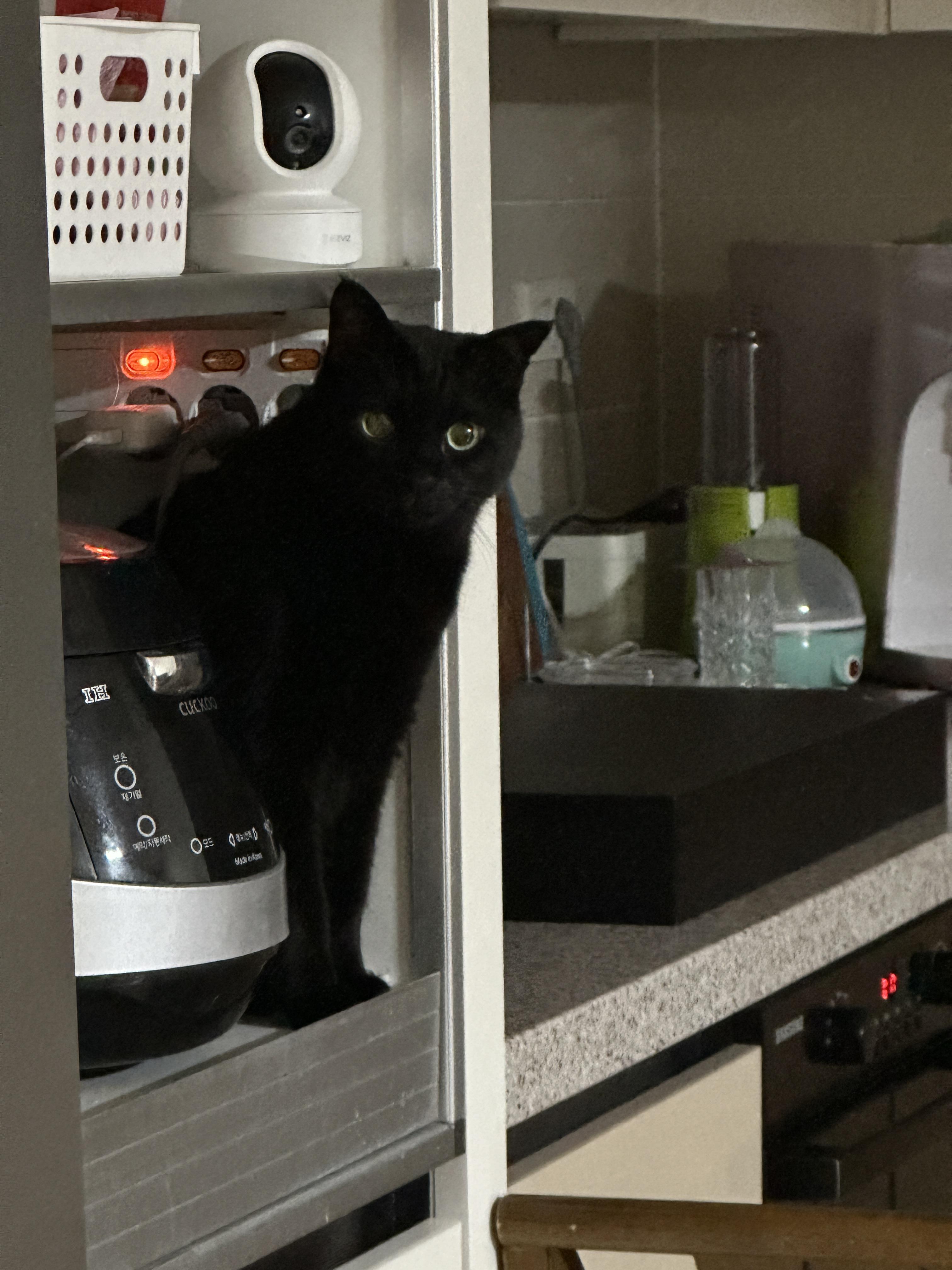 애절한_건이_표정