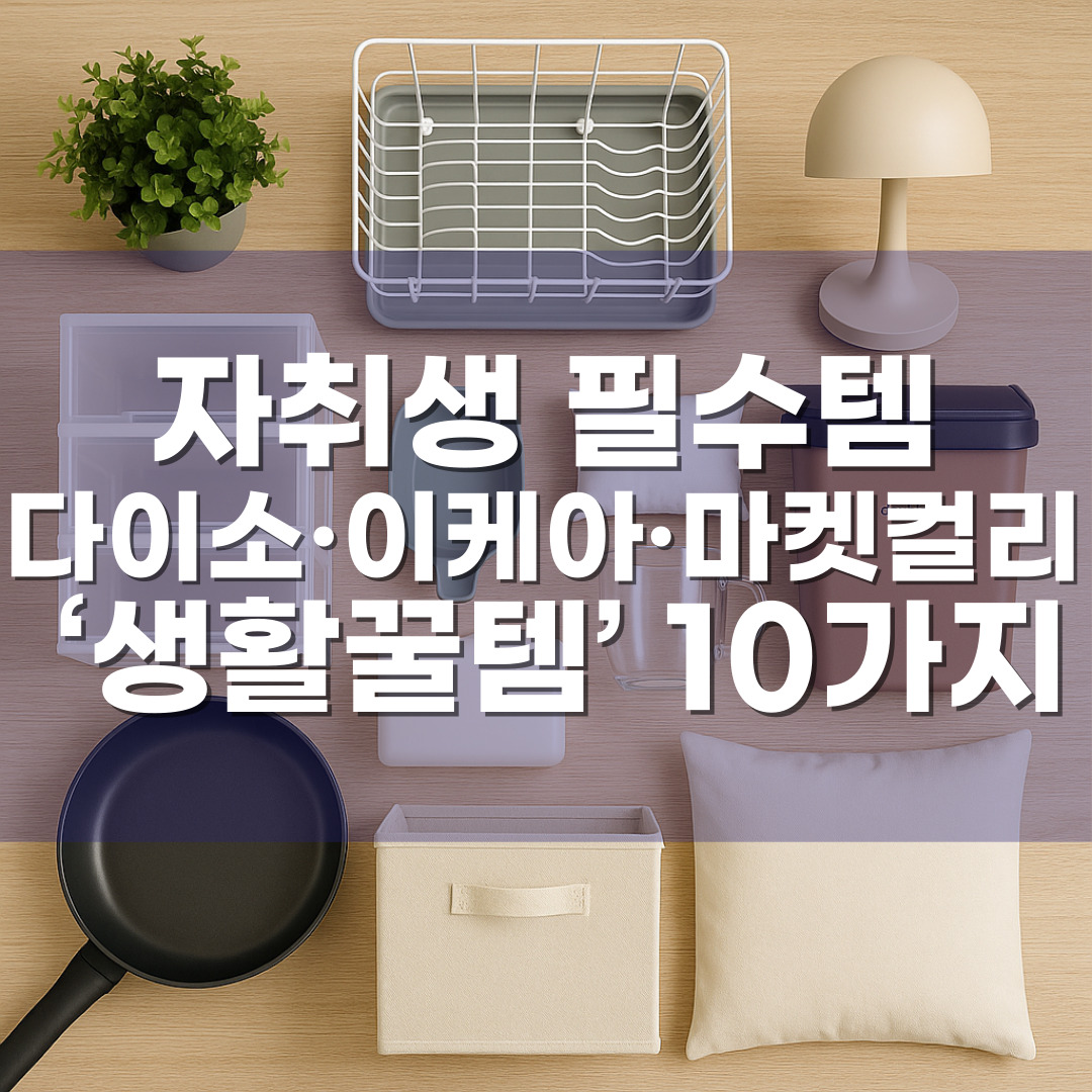자취생 필수템! 다이소·이케아·마켓컬리에서 산 ‘생활꿀템’ 10가지