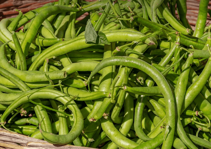 탈모에 좋은음식