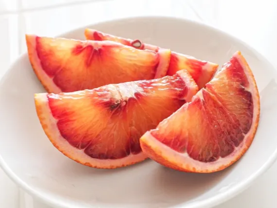 주의사항 지키는 모로 오렌지