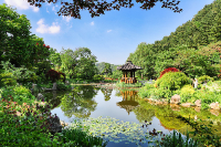 아이와 가평 가볼만한곳 추천 아침고요수목원