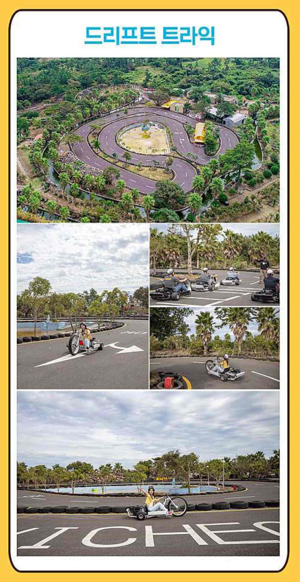 비체올린 능소화축제