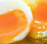 반숙 계란 삶는 시간