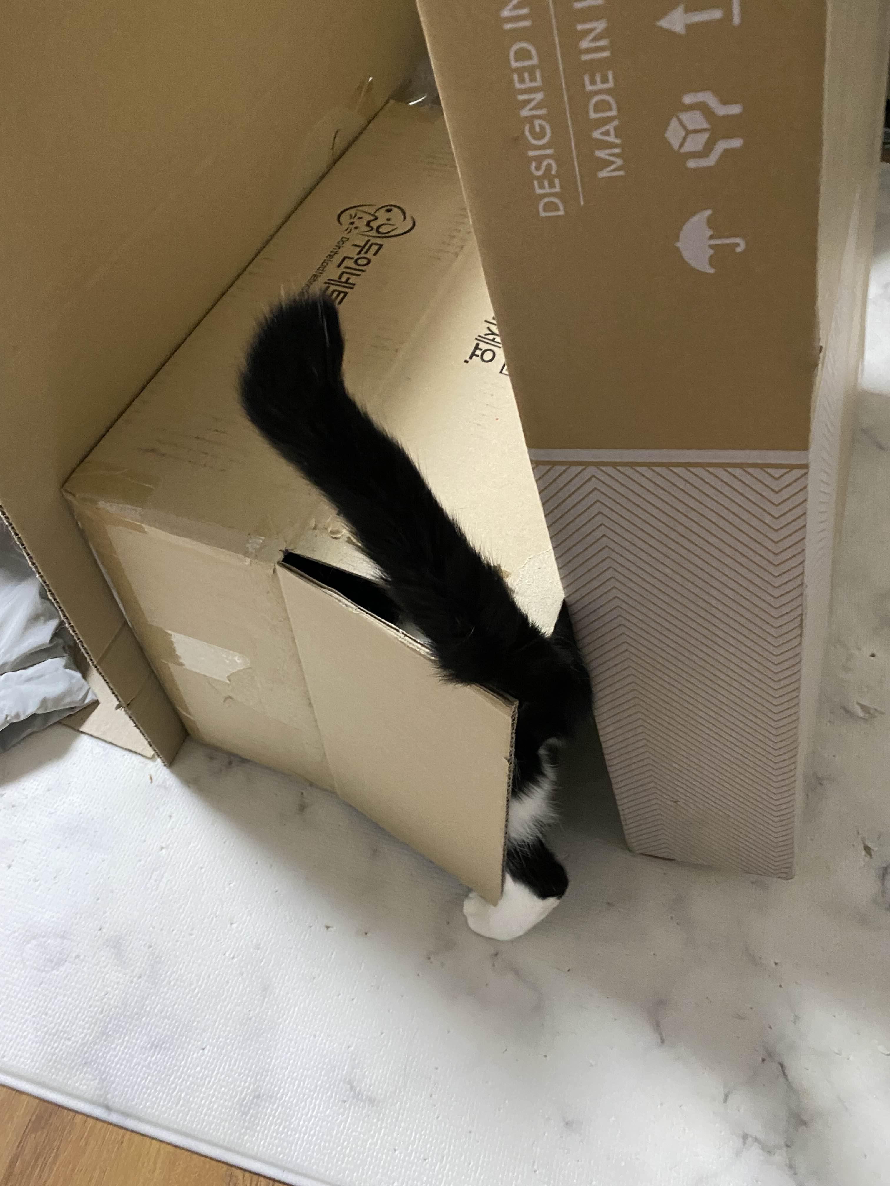 alt 태그