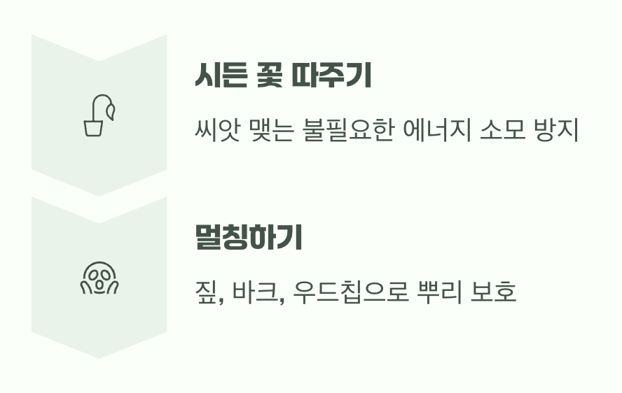 더 아름다운 여왕을 위한 작은 배려