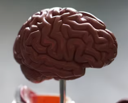 뇌졸중 치료방법 진단 합병증