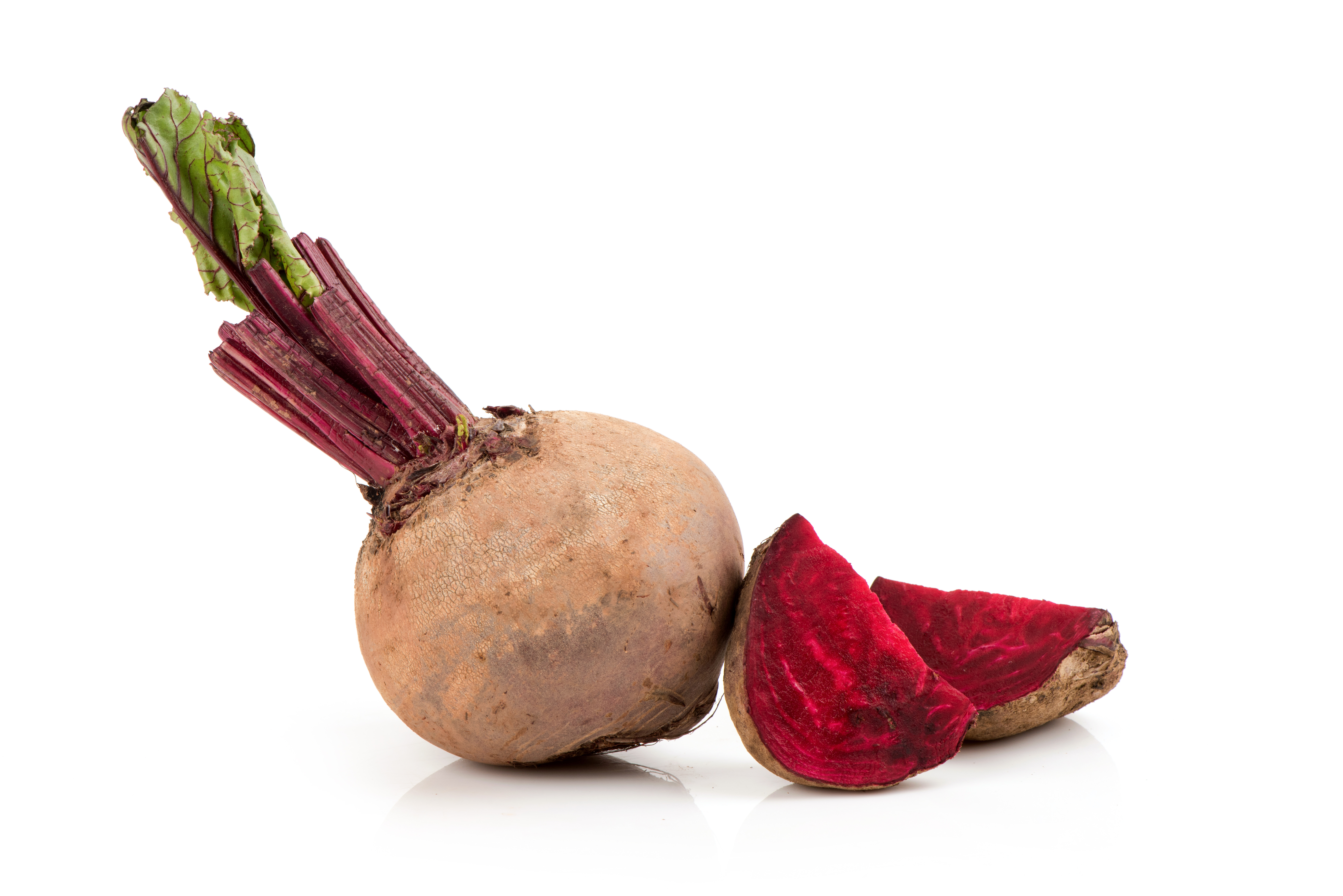 온전한 비트와 단면이 잘린 비트