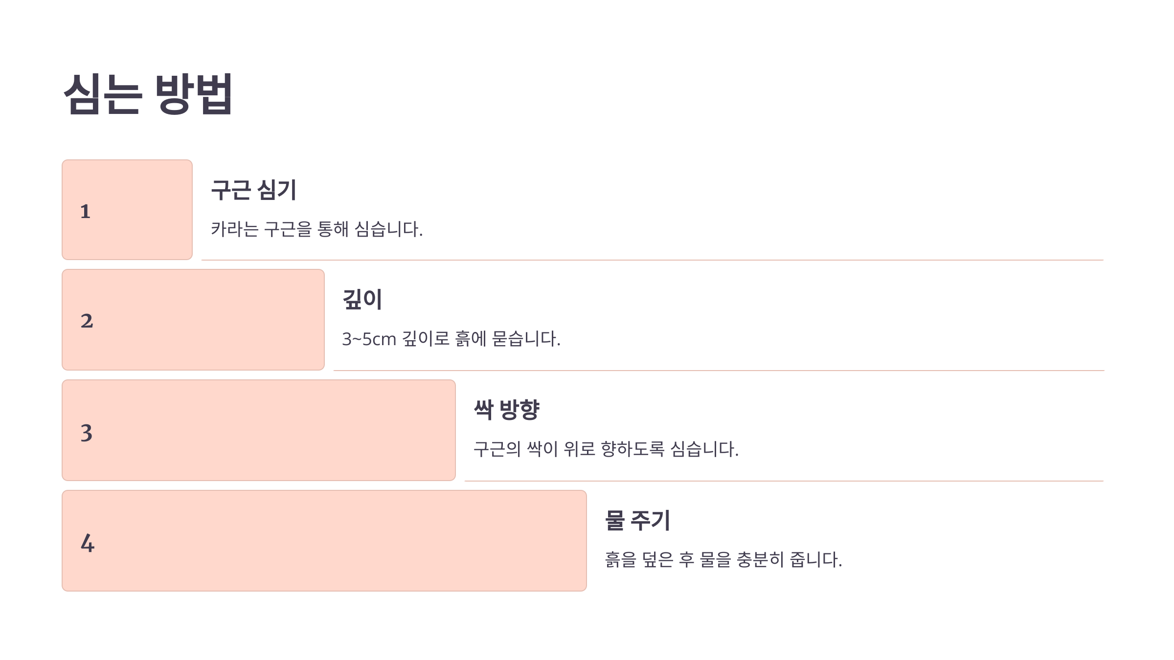 카라꽃 사진입니다.