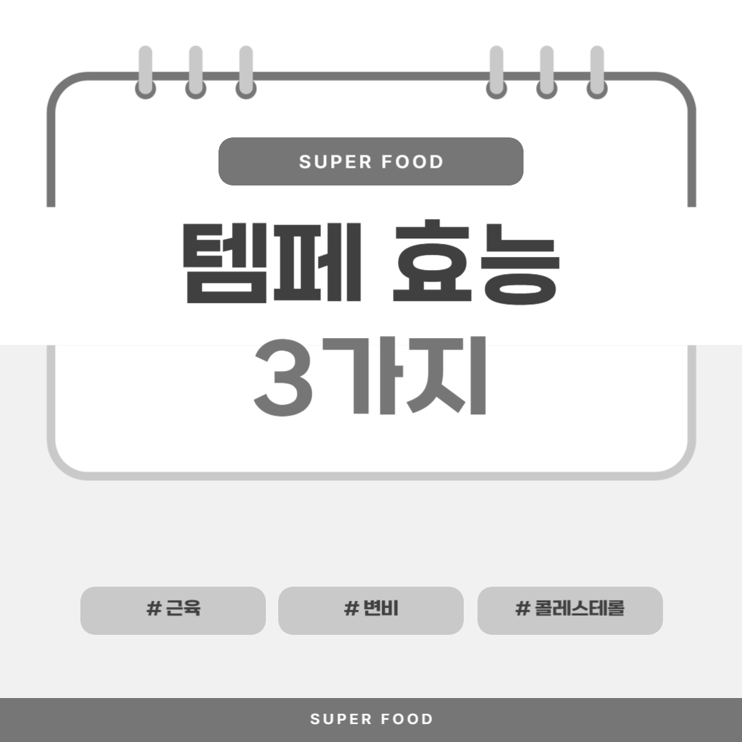 템페 효능 3가지 (템페, 템페 칩)