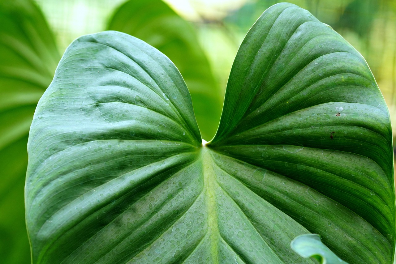 환경 조성 관련 사진