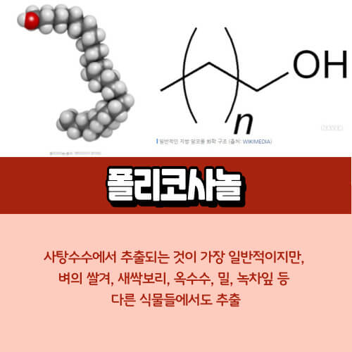 폴리코사놀
