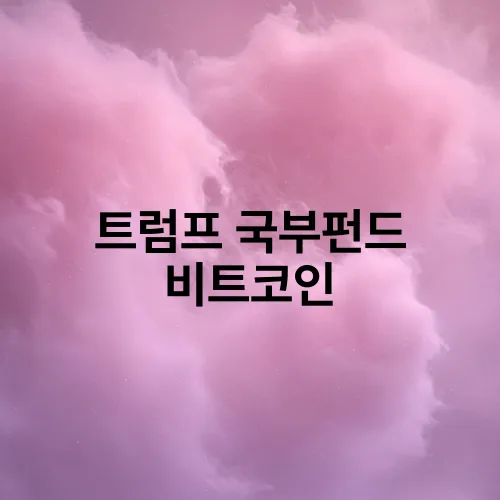 트럼프 국부펀드 비트코인
