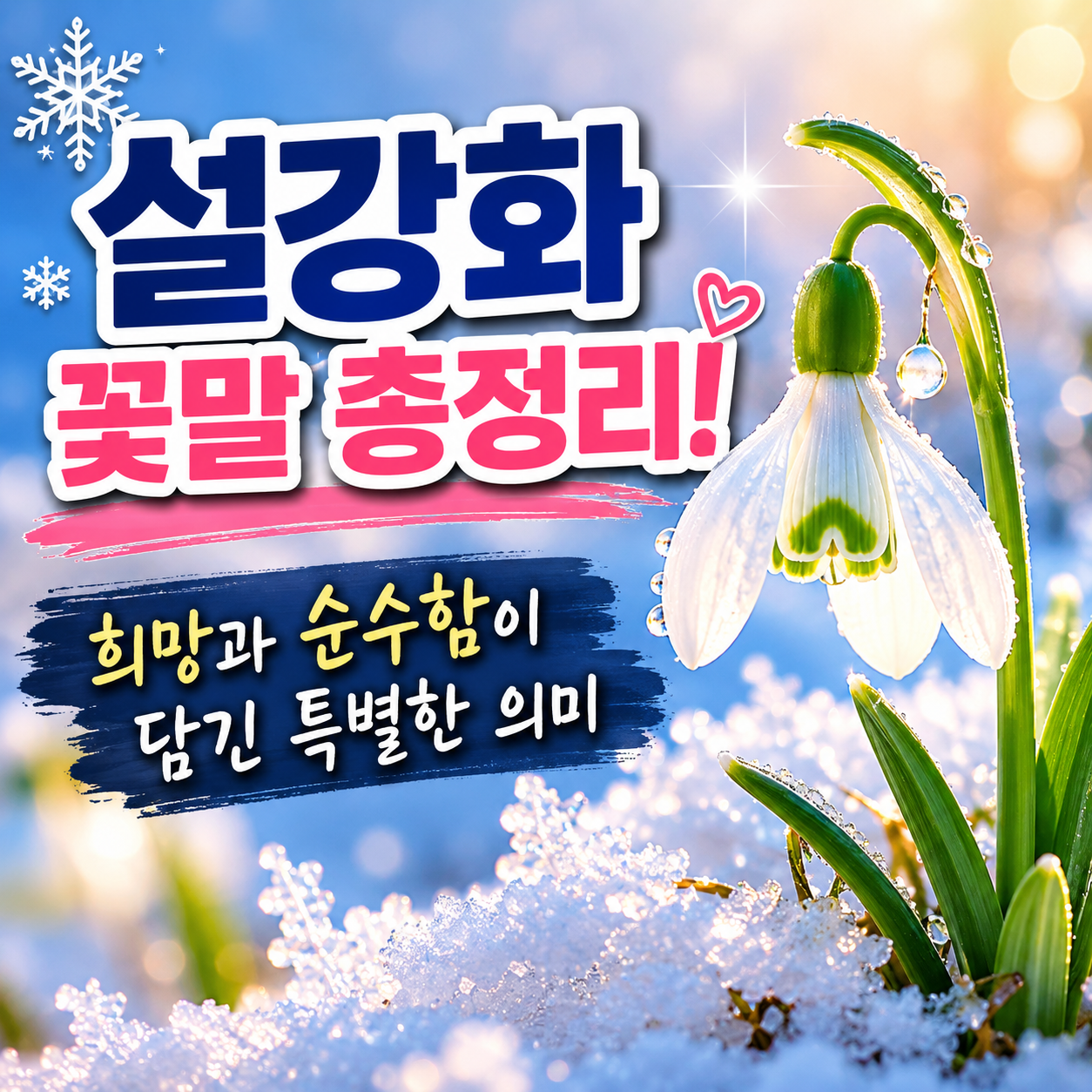 설강화 꽃말