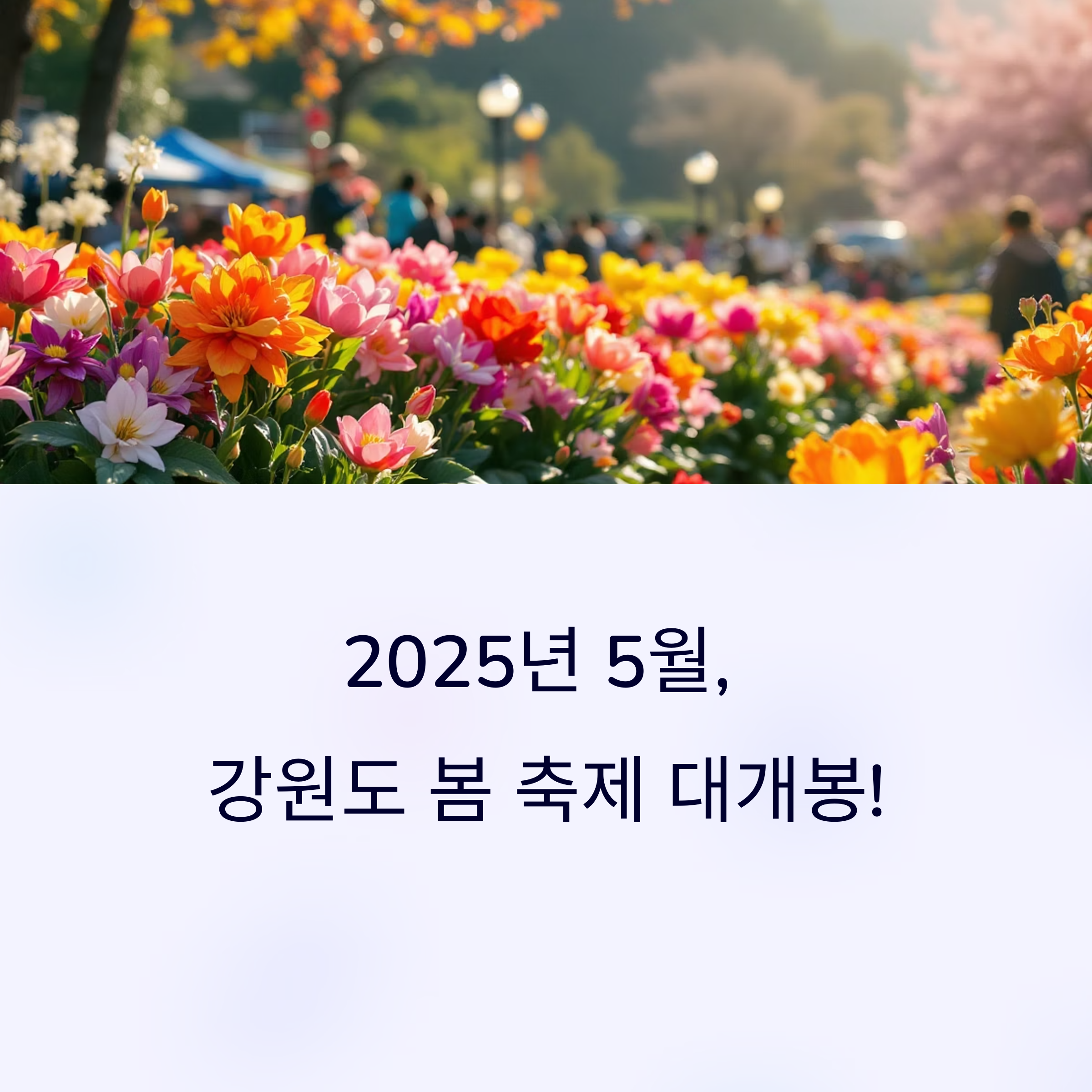 2025년 5월 강원도에서 열리는 봄 축제