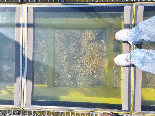 원주 소금산, 원주 잔도, 소금산 잔도, 강원도 단풍, 원주 단풍, 간현유원지, 소금산 입장료