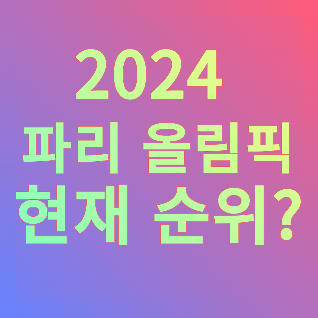 2024 파리올림픽 현재 순위