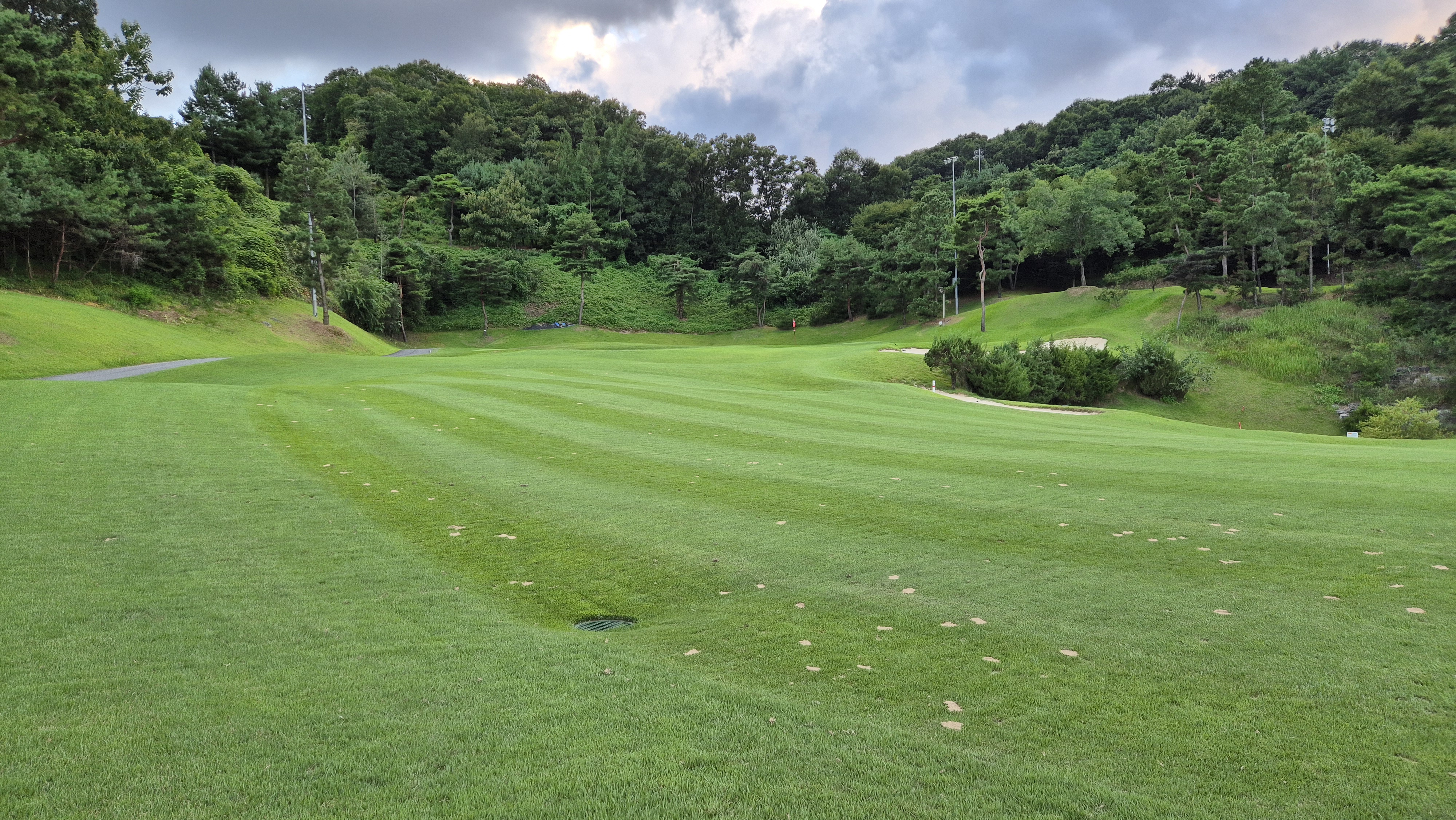 대영힐스cc 청-력 코스 사진 및 공략 정보