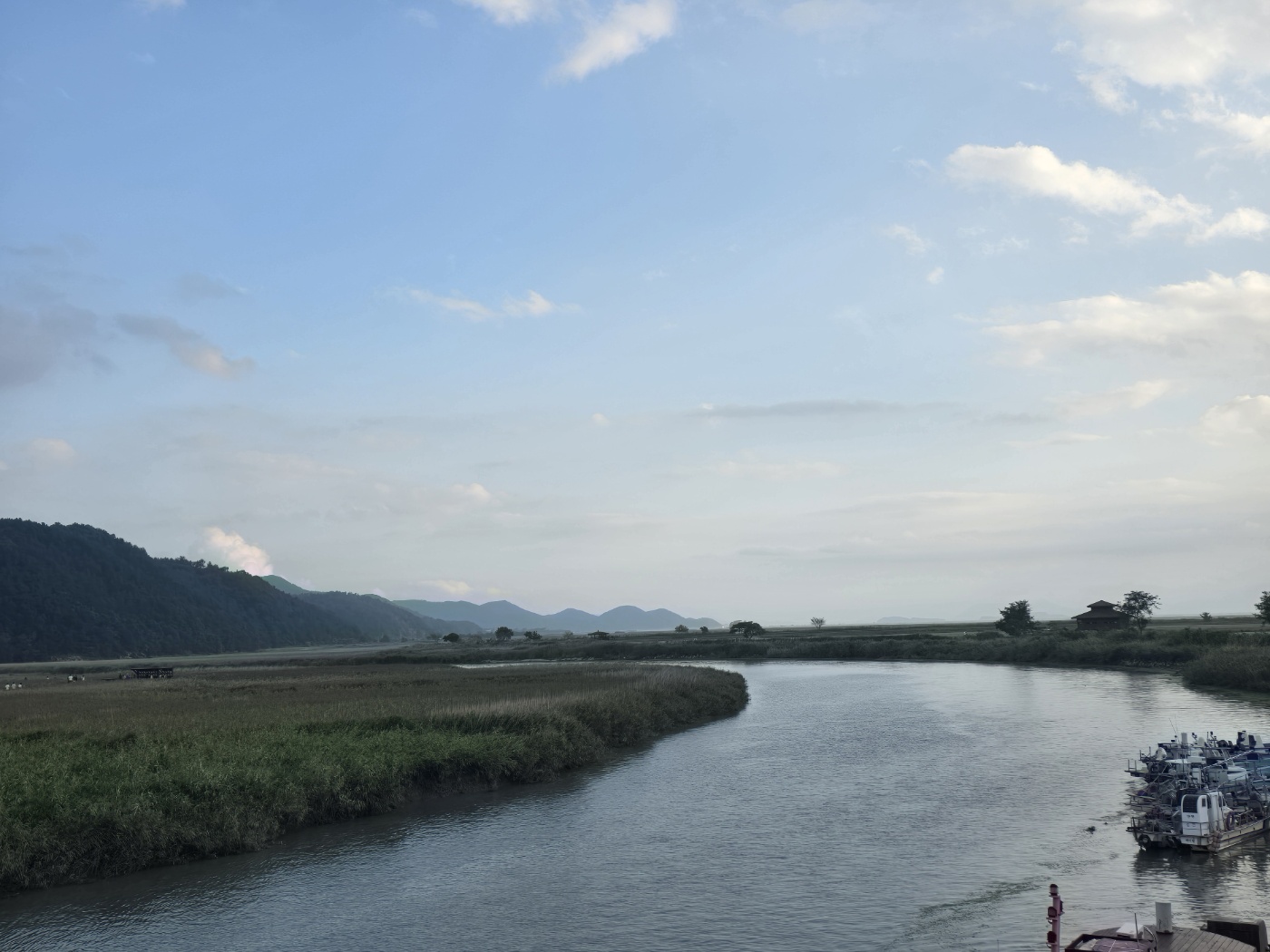 순천만습지 사진