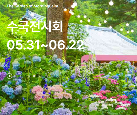 아침고요수목원 수국전시회, 입장방법 요금