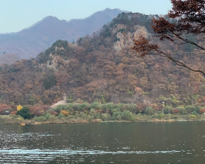 경기도 정원 카페