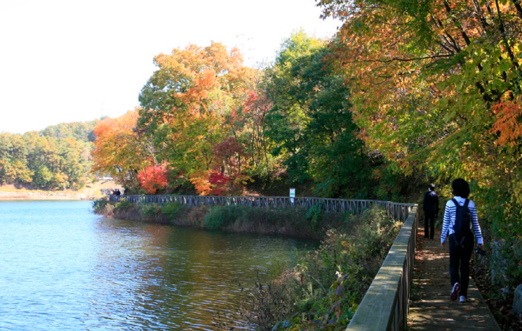 마장호수 출렁다리